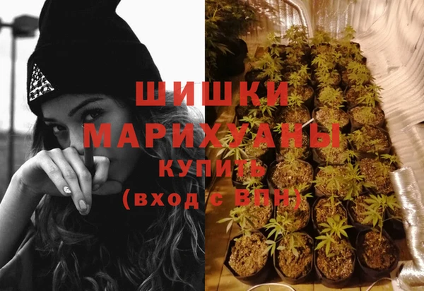 сатива Новодвинск