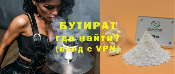 сатива Новодвинск