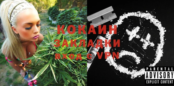 ешки Новозыбков