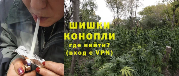 ГАЛЛЮЦИНОГЕННЫЕ ГРИБЫ Новокубанск